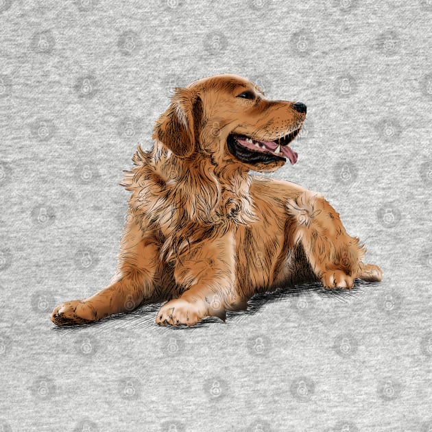 Golden Retriever by sibosssr